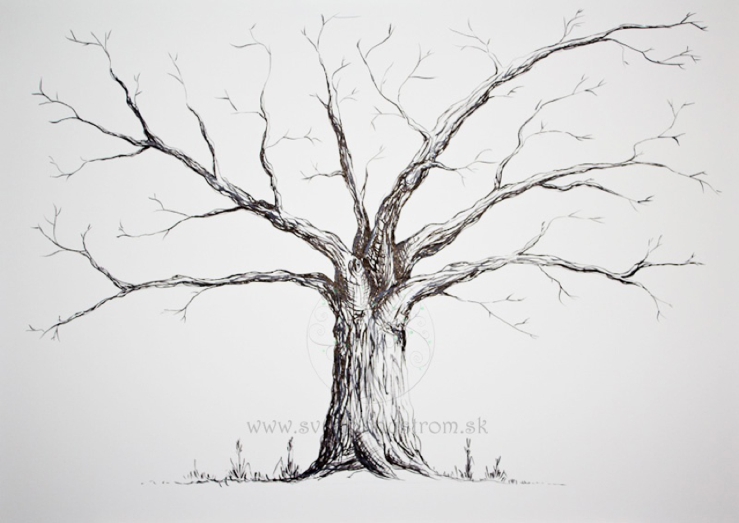 Perfect Day, svadobna inspiracia, svadba, slovensko, Vianocna vyzdoba stola_0011