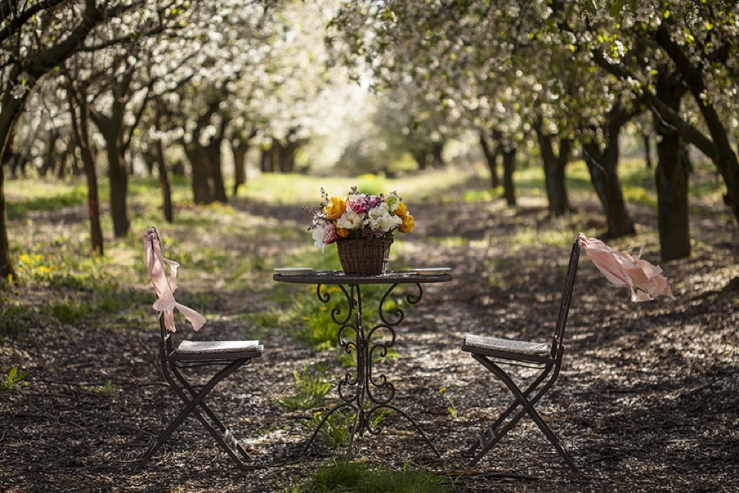 perfect day, svadba, slovensko, svadobna inspiracia, svadbolina, kamarian v sade_0001