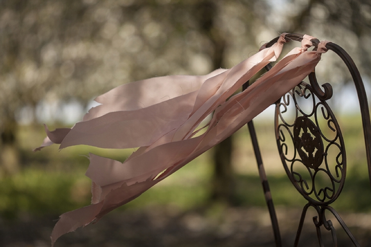 perfect day, svadba, slovensko, svadobna inspiracia, svadbolina, kamarian v sade_0003